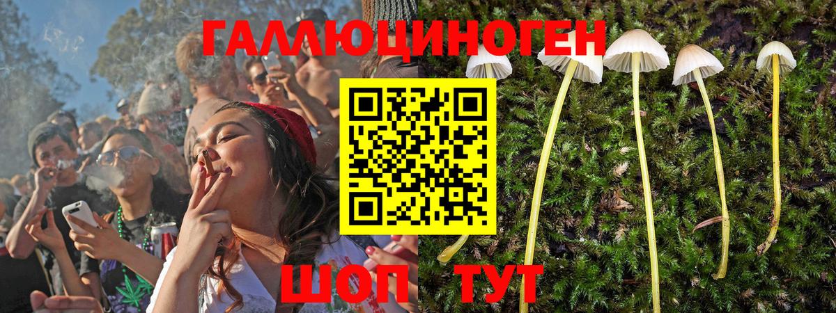 Галлюциногенные грибы MAGIC MUSHROOMS Куйбышев