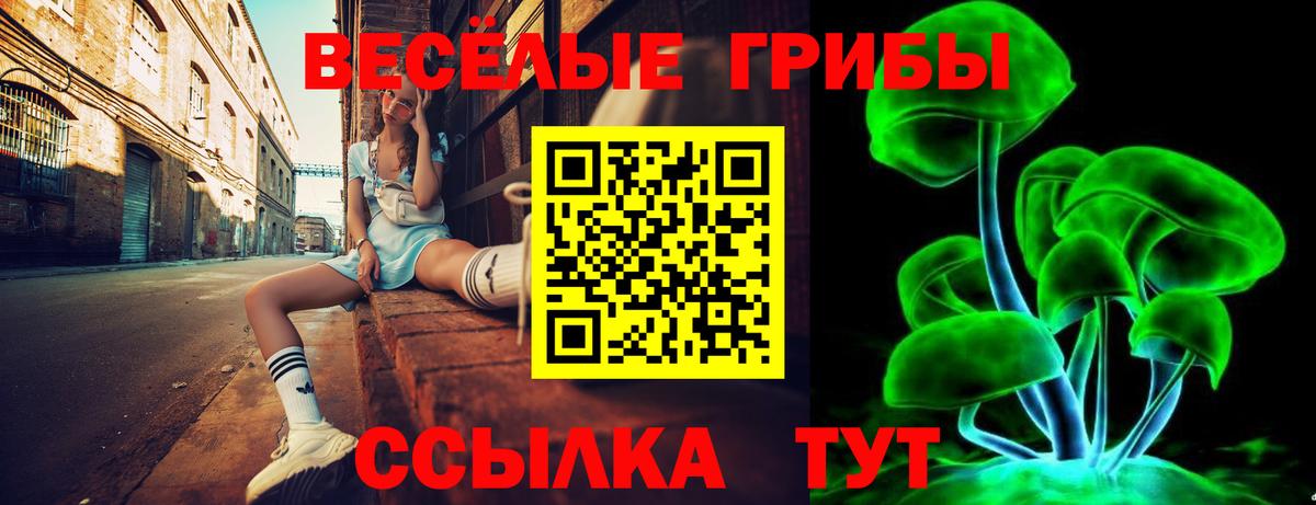 Куйбышев  Псилоцибиновые грибы GOLDEN TEACHER  Вход с VPN  Псилоцибиновые грибы MAGIC MUSHROOMS 